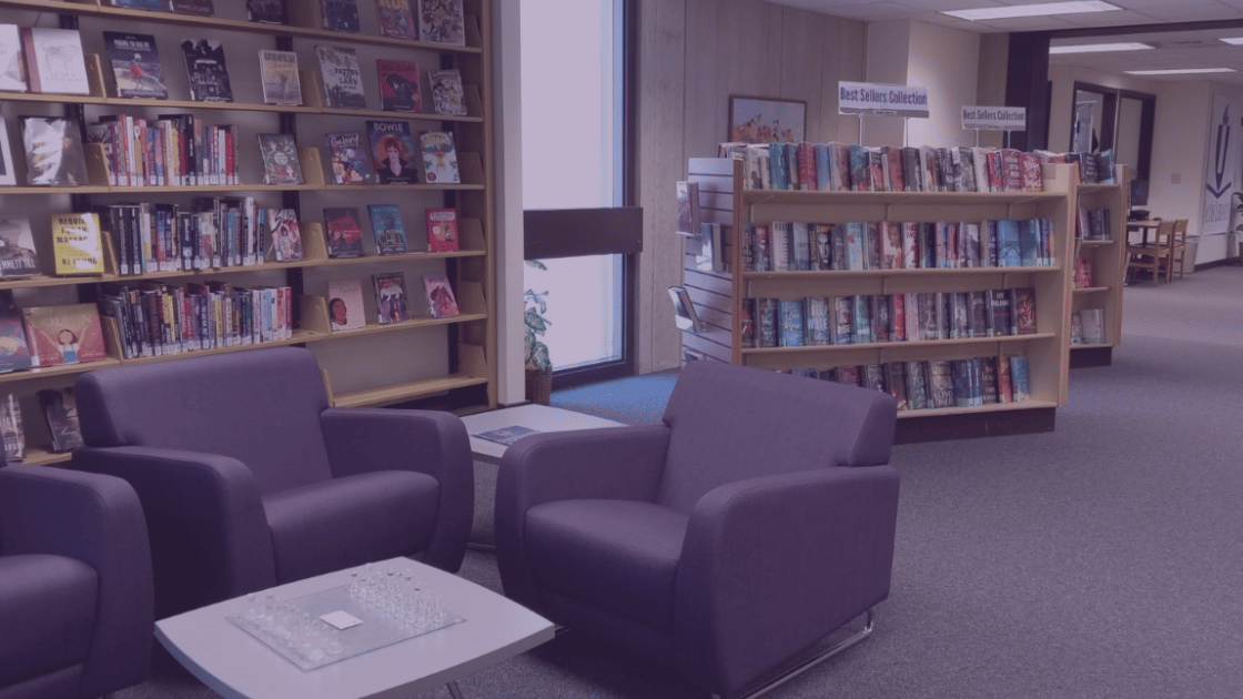 Image of two chairs with book shelves behind them.